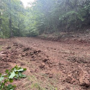 2518ef45-e530-4746-a070-32b953812450