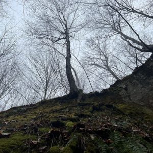 3eeb12ed-f786-47f0-8cca-bb4260b9d183