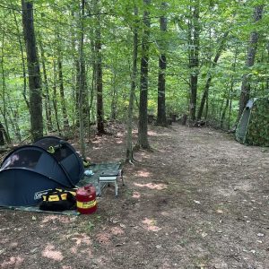 42d04259-a9fb-4ecf-b82c-50e3d803da01