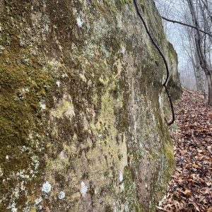 6cf71af8-653d-4a8d-9063-88ad941631f1