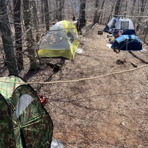 74ed835b-0a2d-4a9d-b914-80d54d8542cf